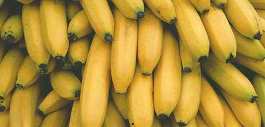 香蕉网国产  第3张