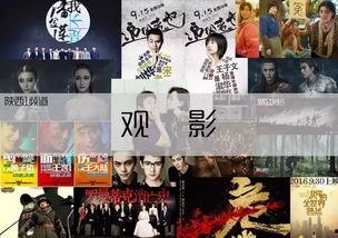 国产片免费观看  第2张