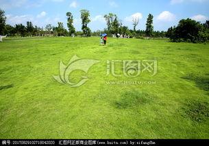 青青青草国产视频,国产视频中的青春记忆与成长轨迹